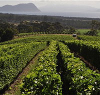 Bream Creek Vineyard - South Australia Travel