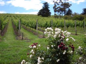 Monkerai ACT South Australia Travel