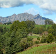 Lake Barrington Vineyard - South Australia Travel