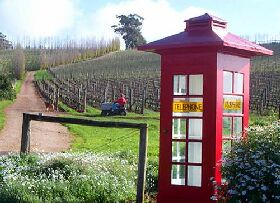 Dalrymple Vineyards - South Australia Travel 0