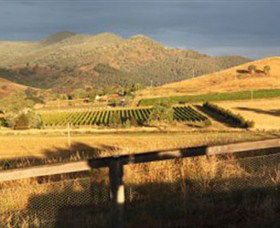 Optimiste Wines - South Australia Travel 0