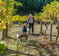 Little River Wines of Taggerty - South Australia Travel