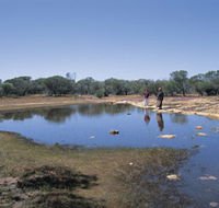 Camel Soak - South Australia Travel