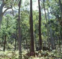 Cathedral Range State Park - South Australia Travel