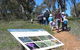 South Gundagai Woodlands Walk - thumb 0