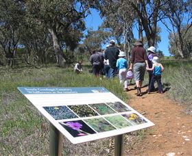 South Gundagai Woodlands Walk - South Australia Travel 0