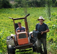 Kellybrook Winery Kelly Brothers Cider  Riders Brew Co. - South Australia Travel