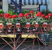 Van Loon's Nursery - South Australia Travel