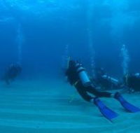 Man and Wife Rocks Dive Site - South Australia Travel