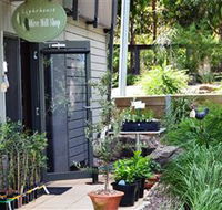 The Lighthouse Olive Mill Shop - South Australia Travel