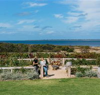 Kiltynane Wines - South Australia Travel