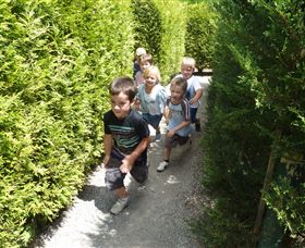 Hedgend Maze And Healesville Laser Sport - South Australia Travel 1