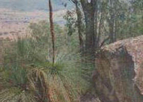 Burrowye VIC South Australia Travel