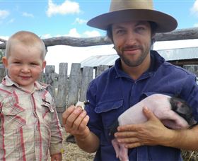 Gleneden Organic Farm And The Gleneden Bullock Team - South Australia Travel 2