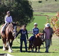 Bathurst Farm Experience - South Australia Travel