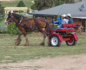 Bathurst Farm Experience - South Australia Travel 3