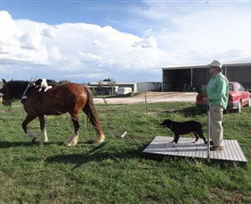 Bathurst Farm Experience - South Australia Travel 6