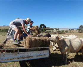 Bathurst Farm Experience - South Australia Travel 5