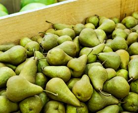 Dandenong Market - South Australia Travel 1
