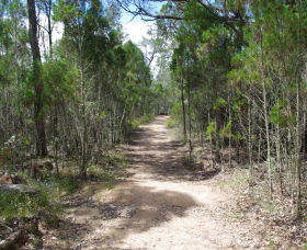 Goonoowigall State Conservation Area - South Australia Travel 1