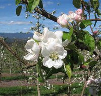 Mouat's Farm - South Australia Travel