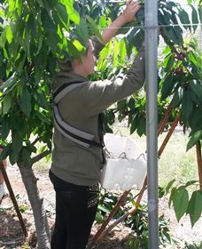 Mouat's Farm - South Australia Travel 4