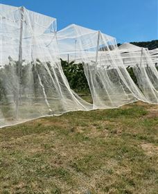 Mouat's Farm - South Australia Travel 5