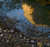 Abercrombie Karst Conservation Reserve - South Australia Travel