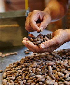 Bright Chocolate - South Australia Travel 3