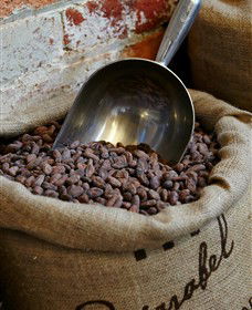 Bright Chocolate - South Australia Travel 5