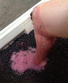 Billy Button Wines - South Australia Travel 4