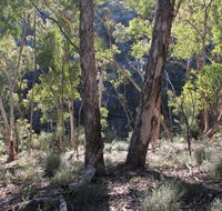 Mount Gray walking track - South Australia Travel