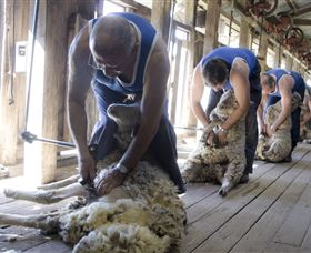 The Woolshed At Jondaryan - South Australia Travel 1
