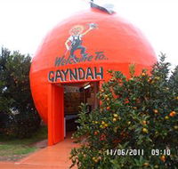 Gayndahs Big Orange - South Australia Travel