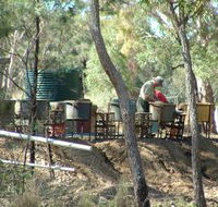 7 Oaks Sapphire Fossicking - South Australia Travel