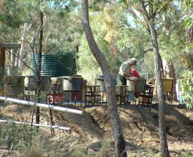 7 Oaks Sapphire Fossicking - South Australia Travel 0