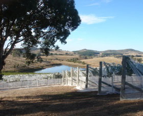 Helm Wines - South Australia Travel 4