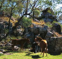 Coomba Falls - South Australia Travel