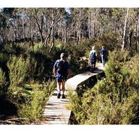 Hume and Hovell Walking Track - Henry Angel Trackhead - South Australia Travel