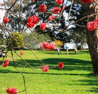The Yass Golf Club - South Australia Travel