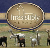 Marchmont Park Alpacas - South Australia Travel