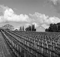 Willow Creek Vineyard - South Australia Travel