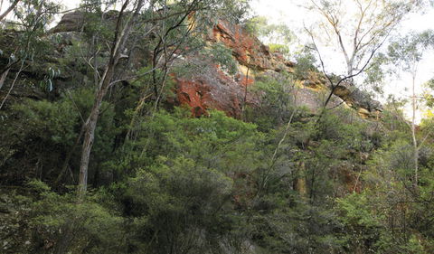 Bicentennial Trail - South Australia Travel 0