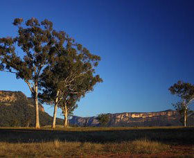 Capertee Valley Bird Trail - South Australia Travel 0