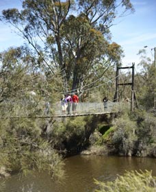 Avon Park - South Australia Travel 0