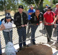 Fossil Rock - South Australia Travel