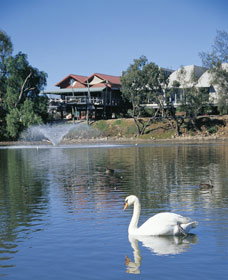 Avon River - South Australia Travel 3