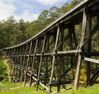 Noojee Trestle Bridge - South Australia Travel