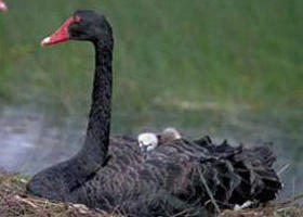 South Australia Travel