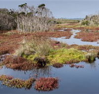 French Island National Park - South Australia Travel